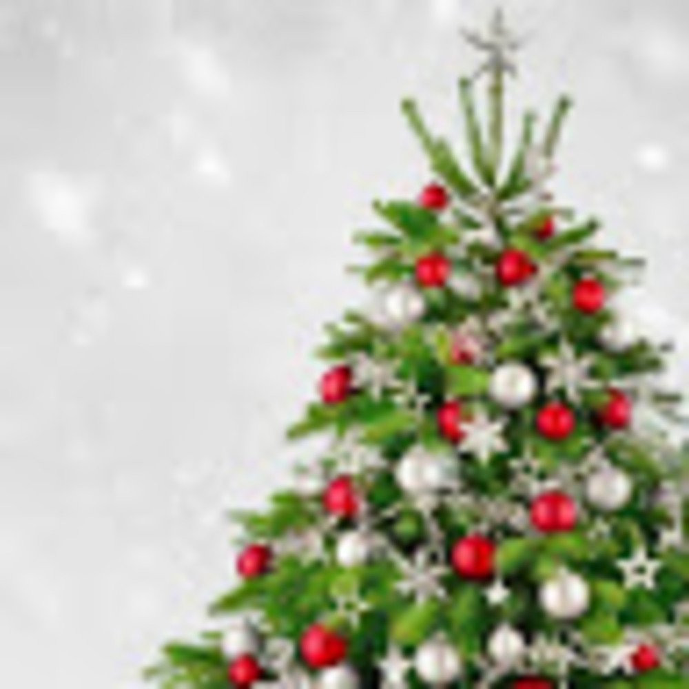 Meet your Posher, Darcia